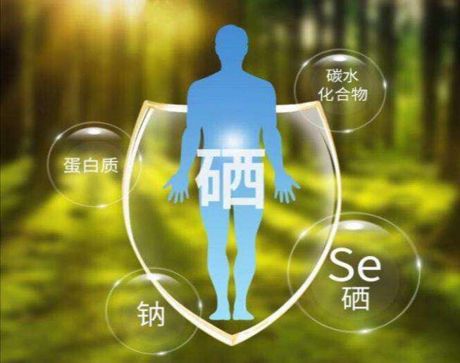 人体为什么需要补硒？