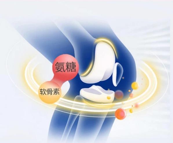 守护关节健康 揭秘氨糖软骨素的作用