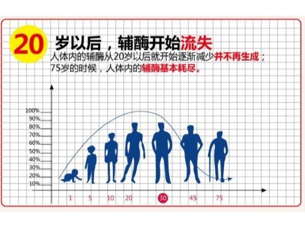 辅酶q10的区别和对人体的强大作用