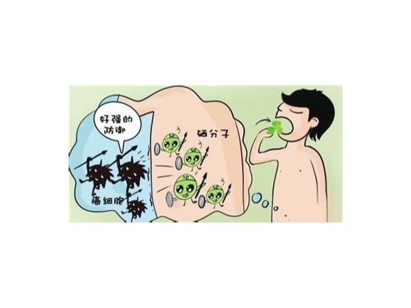 硒，是决定人生命质量的微量元素