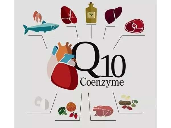 人体为什么需要补充辅酶Q10？