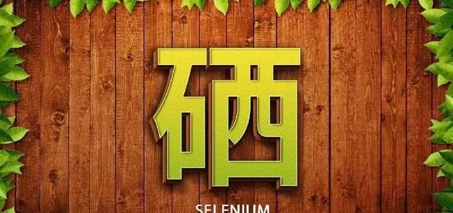 t019b794defbbe45a4d.webp