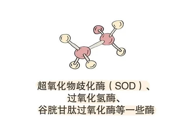 t01472d3ac1f361bb87.webp