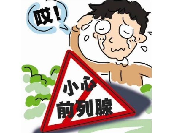 补硒科普 | 前列腺谁都有，多了解才是最重要的